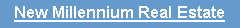 Text Box: New Millennium Real Estate